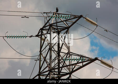 A plastic Owl mounted high up on a National Grid high tension pylon in a rural setting. Stock Photo