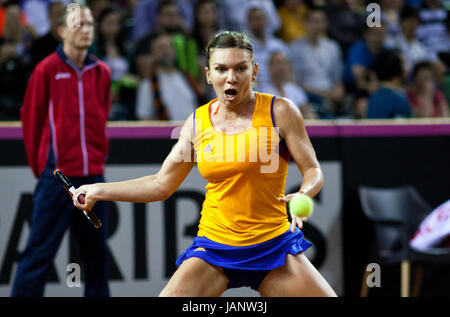 Simona Halep during Fed Cup Play-Offs Tennis match, Romania vs Germanyplays against Angelique Kerber  Photo: Cronos/Melinda Nagy Stock Photo
