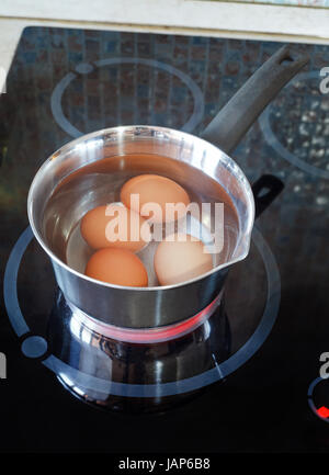 Chicken eggs are cooked in metal pot on electric stove in kitchen Stock Photo
