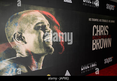 Los Angeles, USA. 6th Jun, 2017. The premiere of Riveting Entertainment's 'Chris Brown: Welcome to My Life' documentary at L.A. Credit: MediaPunch Inc/Alamy Live News Stock Photo
