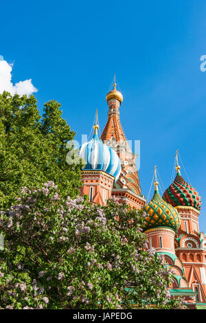 Russian Weather, Moscow. Wednesday, June 7, 2017. After a sequence of cold, rainy and even snowy days, sunny and warm day today in Moscow. The temperature is about +20C (68F). The lilacs blooming period is at least two weeks late this year because of cold spring. Red Square, Spassky (Savior's) tower and St. Basil's cathedral under the blue skies and sun rays. Some unusual visitor of Red Square also welcomes the summer warmth. Credit: Alex's Pictures/Alamy Live News Stock Photo