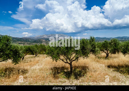 Rural Landscape Near Siana, Rhodes, Greece Stock Photo