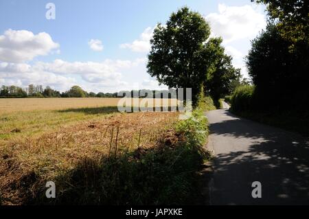 View across fields and the country lane, Ayot St Peter, Hertfordshire. Stock Photo