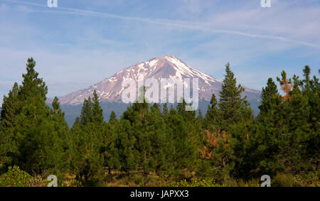 Mount Shasta looms over the rich protested land of the west Stock Photo