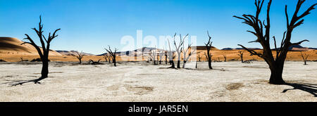 Dead trees and dunes in a salt pan. Hot desert. Stock Photo