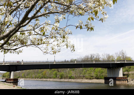 The Palatine Bridge across the Mohawk River between Canajoharie and Palatine Bridge, New York, in Montgomery Co8nty. Stock Photo