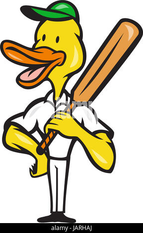 Illustration of a duck cricket player batsman with bat batting facing front on isolated white background done in cartoon style. Stock Photo