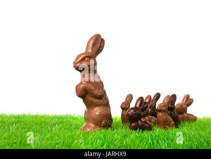 Group of chocolate bunnies on the way over a fresh meadow. Stock Photo
