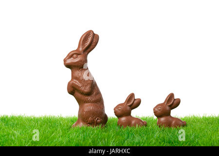 Three nice chocolate easter bunnies on a fresh meadow. Isolated on white. Stock Photo