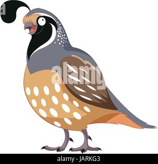 Vector image of the Cartoon happy Quail Stock Vector