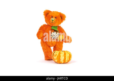 martin bear from sonneberg Stock Photo