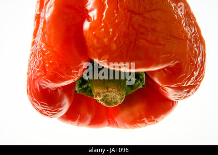 A supermarket purchased green bell pepper allowed to ripen in domestic environment, now red and slightly wrinkled. Stock Photo