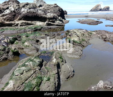 Fresh Groundwater from the Mountains on the Beach Stock Photo