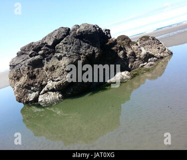 Rock Reflecting on Fresh Groundwater from the Mountains on the Beach Stock Photo