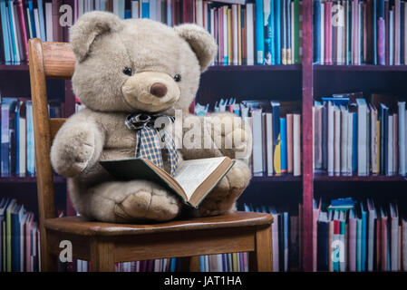 Stuffed animal bear holds an open book sitting on an old wooden chair in front of a book shelf Stock Photo