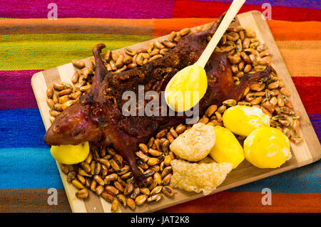 Cui Rodent Cui, rodent from Bolivia Stock Photo - Alamy