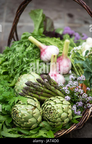 Basket of freshly picked vegetables including artichokes and asparagus in a glasshouse UK Stock Photo