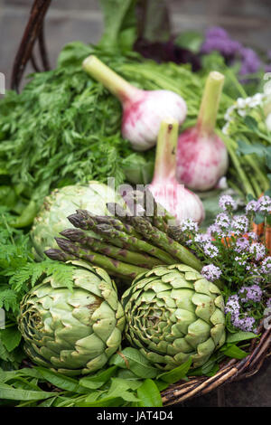 Basket of freshly picked vegetables including artichokes and asparagus in a glasshouse UK Stock Photo