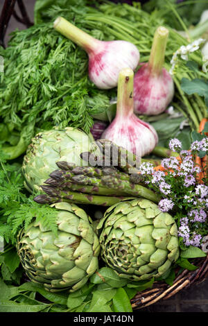 Basket of freshly picked vegetables including artichokes, garlic and asparagus in a glasshouse UK Stock Photo