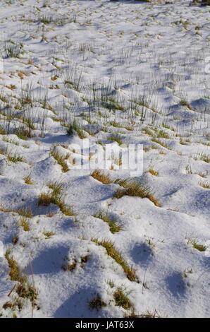 Textured Snow and Grass, Natural Background, Dartmoor, Devon, UK; January 2015. Stock Photo