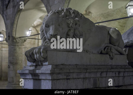 Italy Umbria Norcia Night picture of  a statue of lion in San Benedict square placed in front of Palazzo comunale. Stock Photo