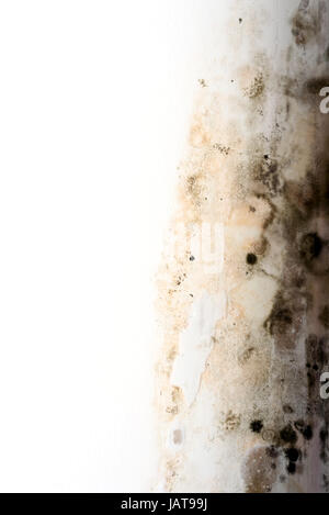Condensation dry rot from water creates a  black fungus on a white paint interior window frame Stock Photo