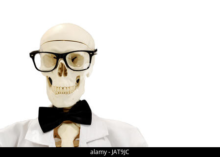 Single skeleton wearing a bow tie and glasses and a medical labcoat with a white background and copyspace area for medical comical concepts and ideas Stock Photo