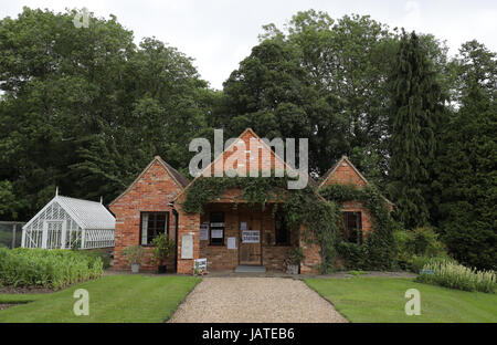 A dog waits outside a polling station in a guest house annex in Dogmersfield, Hampshire, as voters head to the polls across the UK to vote in the General Election. Stock Photo