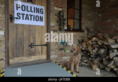 A dog waits outside a polling station in a guest house annex in Dogmersfield, Hampshire, as voters head to the polls across the UK to vote in the General Election. Stock Photo