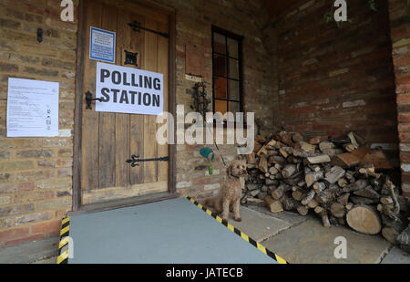 A dog waits outside a polling station in a guest house annex in Dogmersfield, Hampshire, as voters head to the polls across the UK to vote in the General Election. Stock Photo