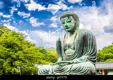 The Great Buddha (Daibutsu) on the grounds of Kotokuin Temple in Kamakura, Japan. Stock Photo