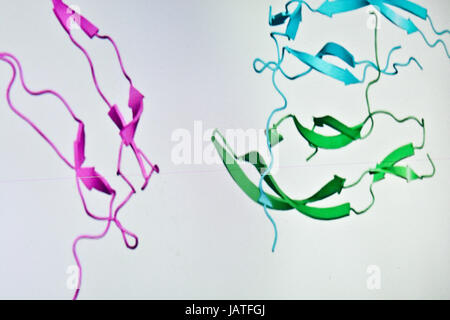 Research in the field of proteomics. New technologies for the study of biological macromolecules. Stock Photo