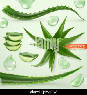 Aloe vera and drop. Medicinal plant. 3d vector icon set Stock Vector