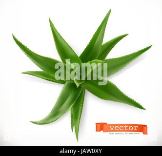 Aloe vera. Medicinal plant, 3d vector icon Stock Vector