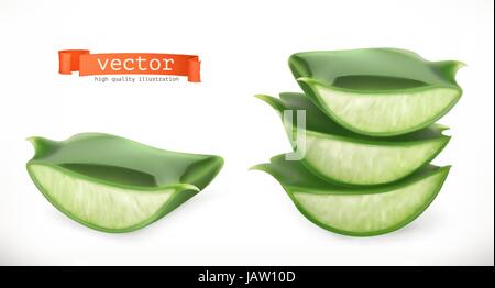 Aloe vera. Medicinal plant 3d vector icon Stock Vector