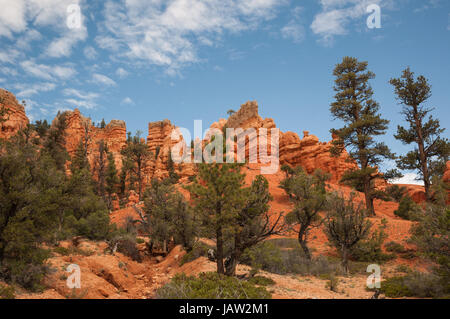 red Bryce Canyon west USA utah 2013 Stock Photo