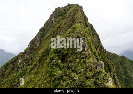 The sheer jagged peak of Huayna Picchu covered in forest. Stock Photo