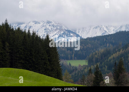 Gloomy yet beautiful alpine spring scenery Stock Photo