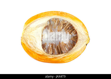 ripe acera or betel palm nut fruit isolate on white blackground Stock Photo