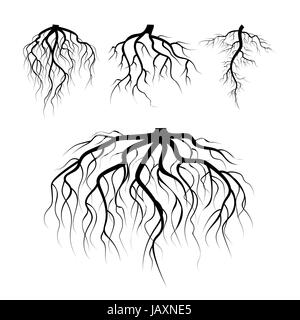 Tree Underground Roots Vector Set. Illustration Isolated Stock Vector ...