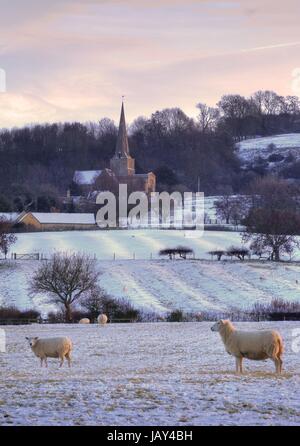 Pretty winters scene at Saintbury with church and sheep, Chipping Campden, Gloucestershire, England. Stock Photo