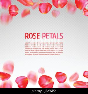 Falling red rose petals border on transparent background. Realistic vector illustration. Wedding invitation or greeting card template Stock Vector