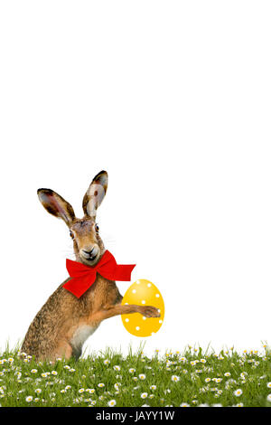 lächelnder Osterhase mit gelbem Osterei Stock Photo