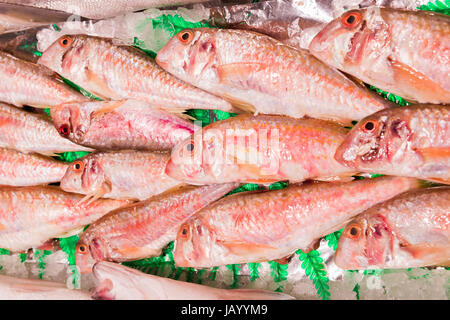 Fresh red mullet for sale on fish market of Madrid, Spain Stock Photo