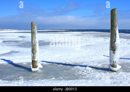 Winter an der Ostsee, bei Prerow, Nationalpark Vorpommersche Boddenlandschaft, Darss, Mecklenburg-Vorpommern, Deutschland Stock Photo