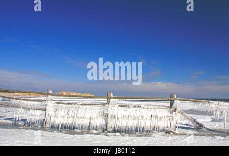 Eiszapfen an einem Holzzaun an der Ostsee, Nationalpark Vorpommersche Boddenlandschaft, Darss, bei Prerow, Mecklenburg-Vorpommern, Deutschland Stock Photo