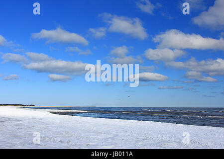 Winter an der Ostsee, bei Prerow, Nationalpark Vorpommersche Boddenlandschaft, Darss, Mecklenburg-Vorpommern, Deutschland Stock Photo