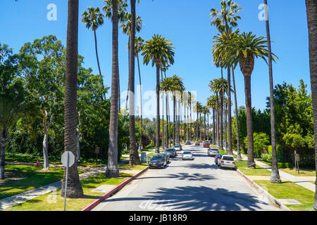 Typical street view in Beverly Hills - alley of Palm Trees - LOS ANGELES - CALIFORNIA Stock Photo