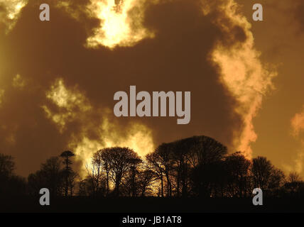 Sunsets over trees in Cornwall,UK Stock Photo