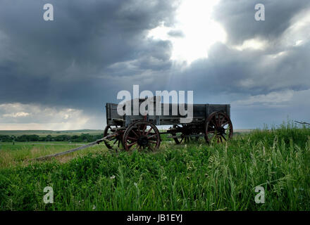 Image of an old weathered horse drawn buckboard wagon, near the Little Bighorn battlefield site. Stock Photo